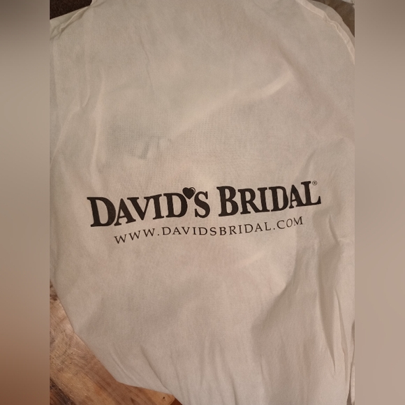 Ivory Organza White by Vera Wang for David's bridal - Picture 3 of 16